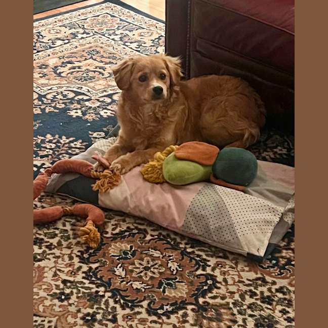 Photo of Cashew