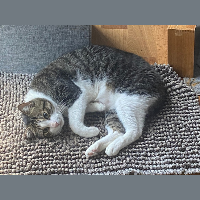 Photo of Monty