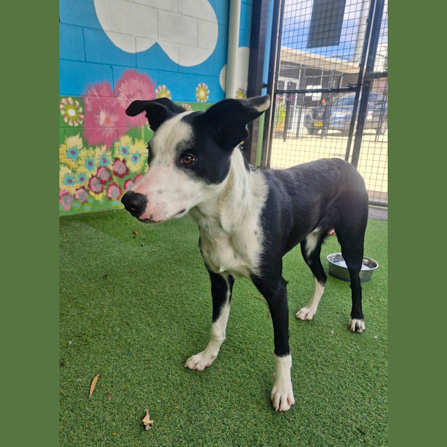 Photo of D1210 Salty