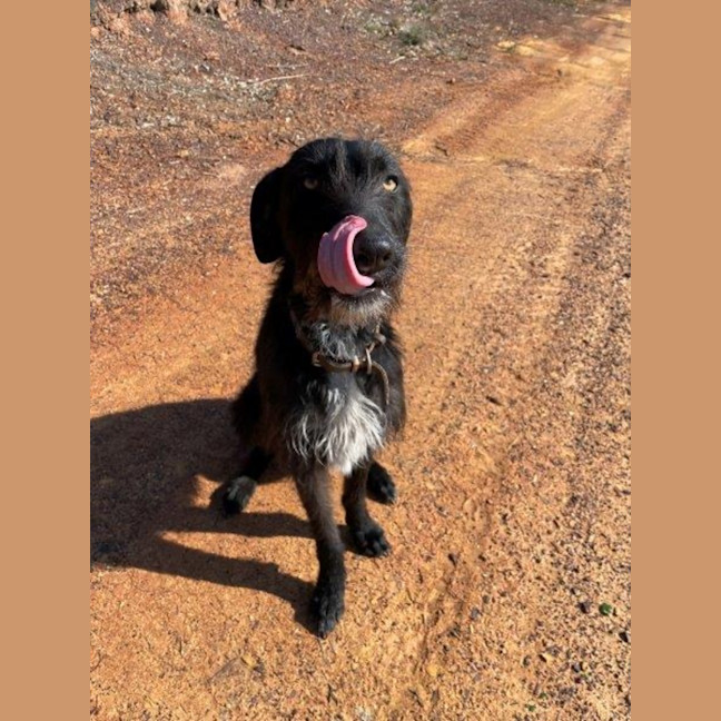 Photo of Roxy Peggotty