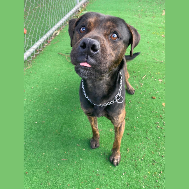 Photo of Zeek