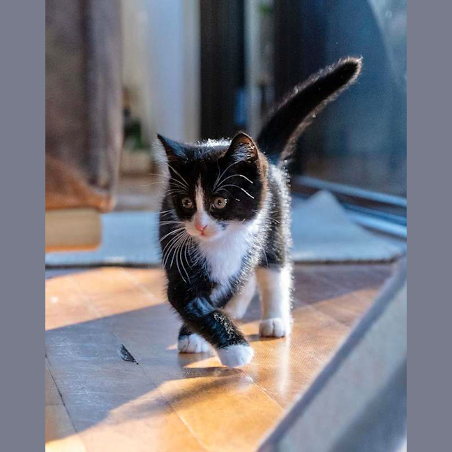 Photo of Timmy