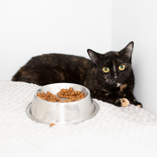 Photo of Ms. Finster