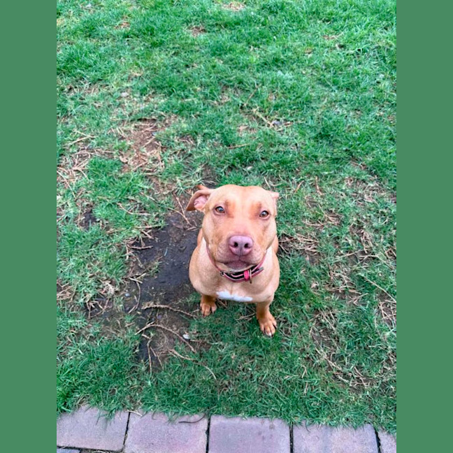 Photo of Sweetie