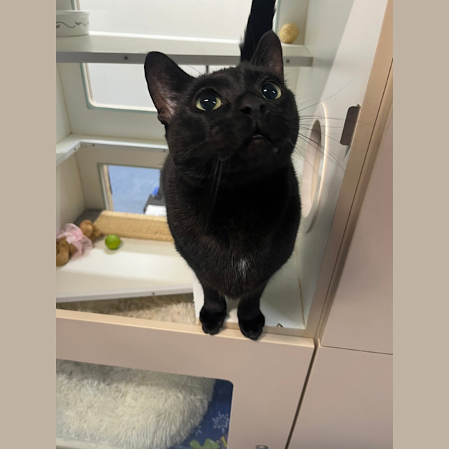 Photo of Kiki