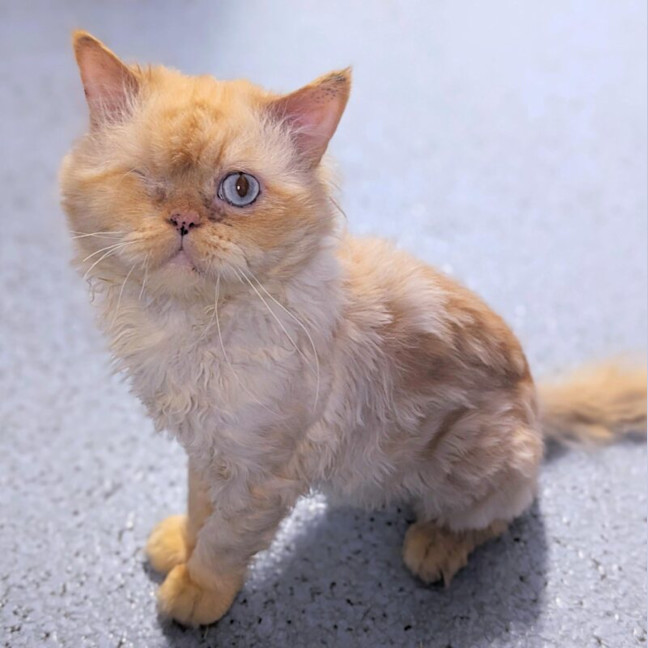 Photo of Sammy