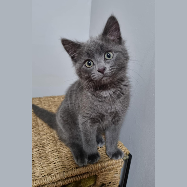 Photo of Lunar Eclipse