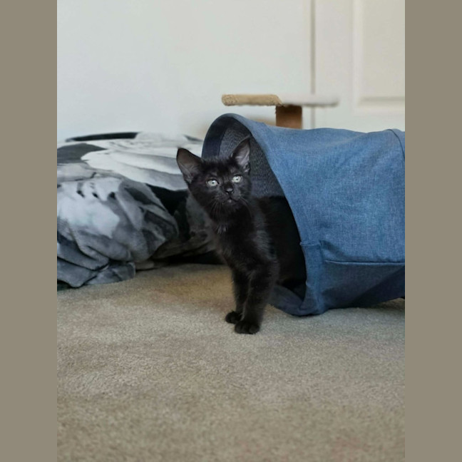 Photo of Bug