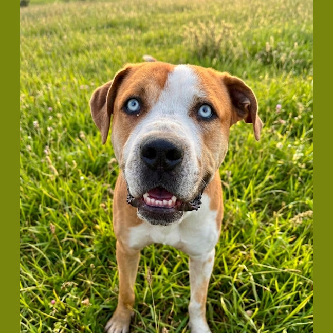 Photo of Benny