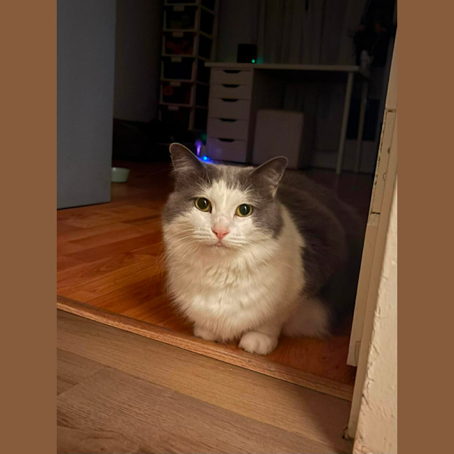 Photo of Carla