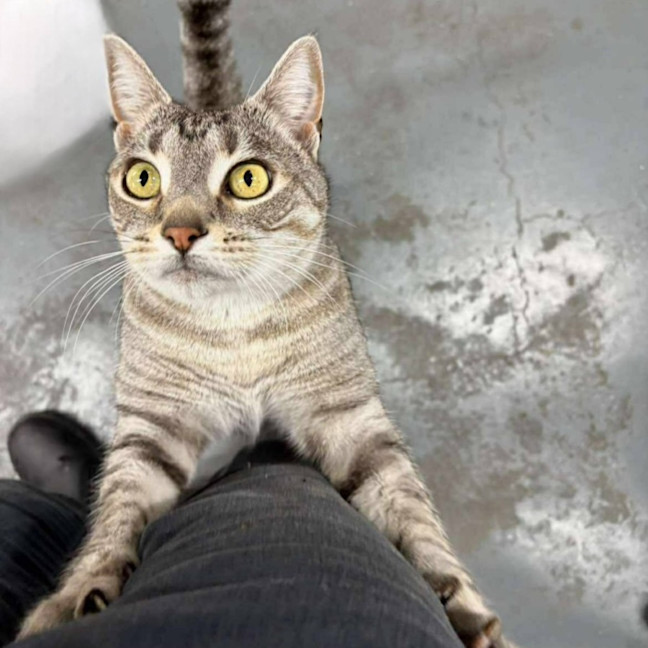 Photo of Fred And George