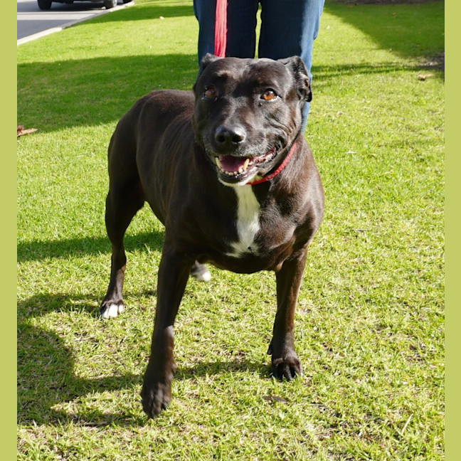Photo of Roxy