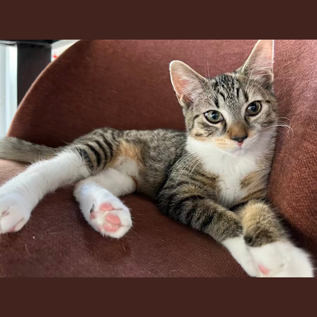 Photo of Molly