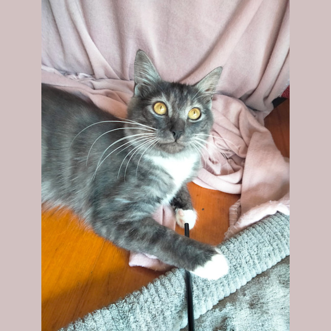 Photo of Quentin