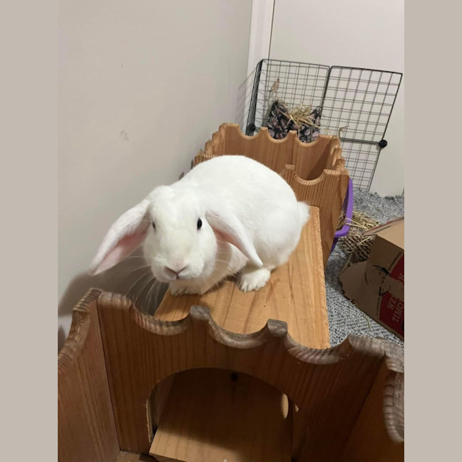 Photo of Amira And Timmy