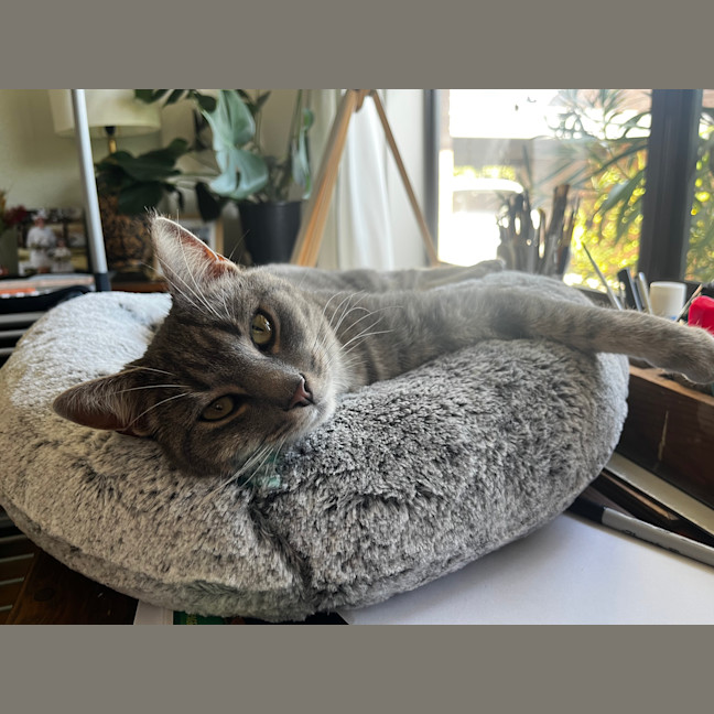 Photo of Roxy