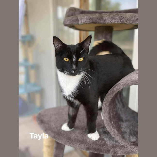 Photo of Tayla