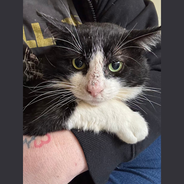 Photo of Bruce Wayne