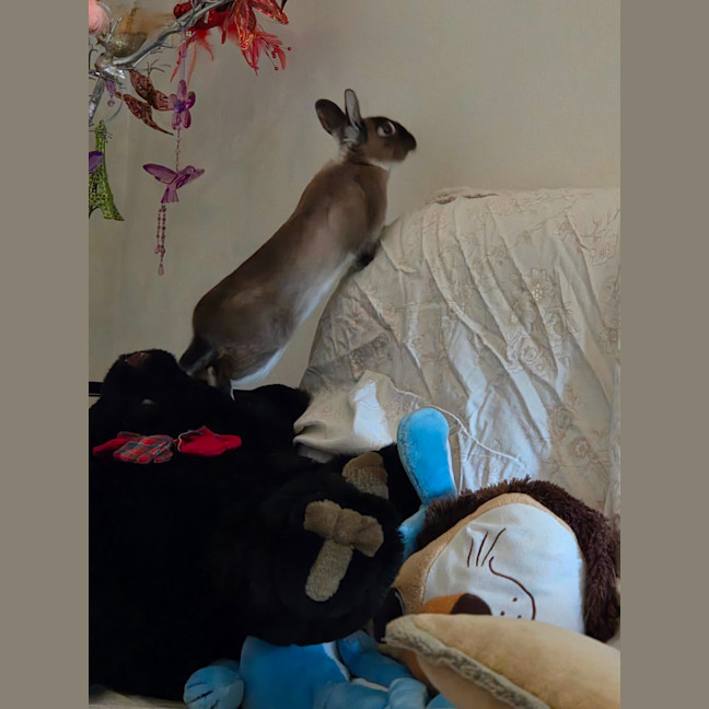 Photo of Dobbie & Alex