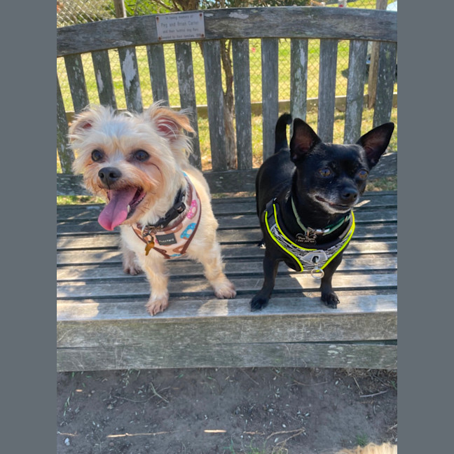 Photo of Milo & Angel