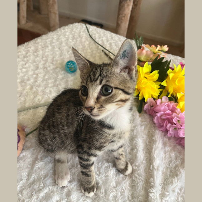 Photo of Jasper