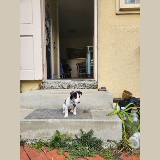 Photo of Speck