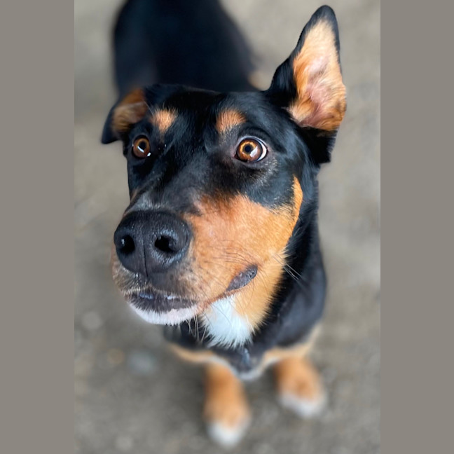 Photo of Reggie 