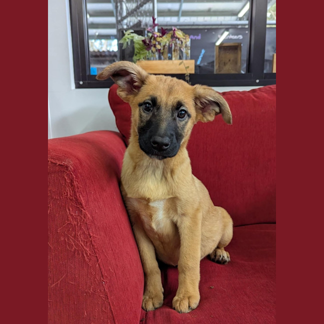 Photo of Kelly Barkson