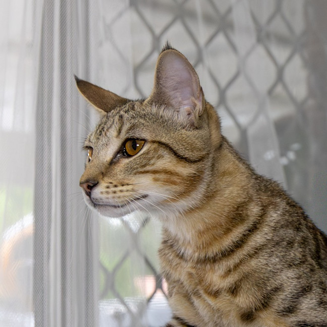 Photo of Luigi