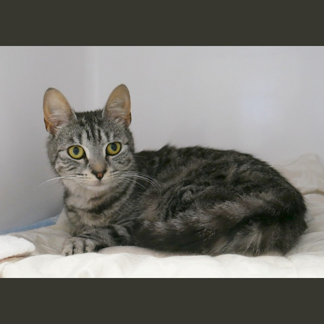 Photo of Nami Suk013205