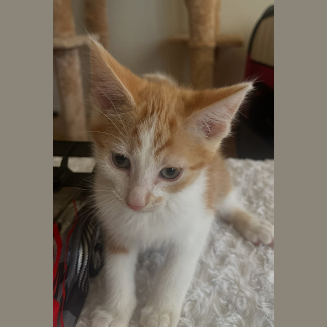 Photo of Charlie