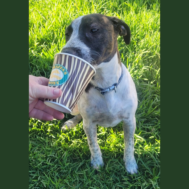 Photo of Clumsy Smurf