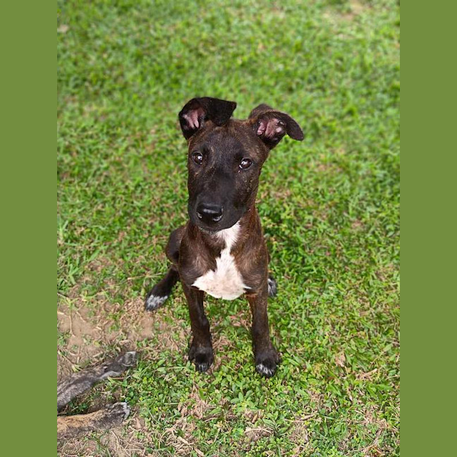Photo of Velma