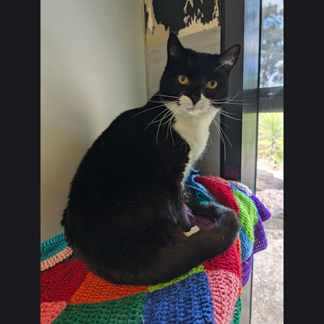 Photo of Wednesday