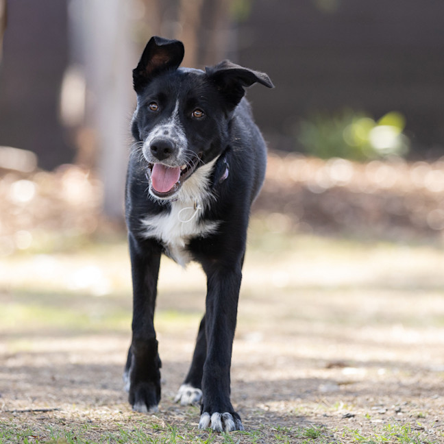 Photo of Murphy