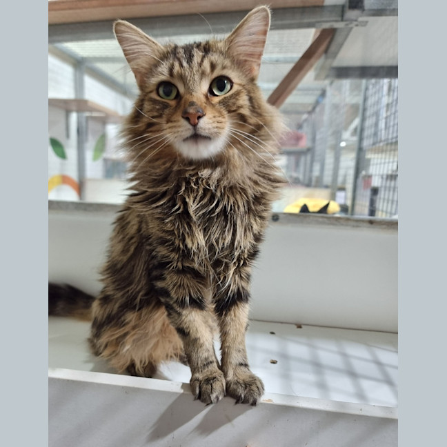 Photo of Mr Brightside