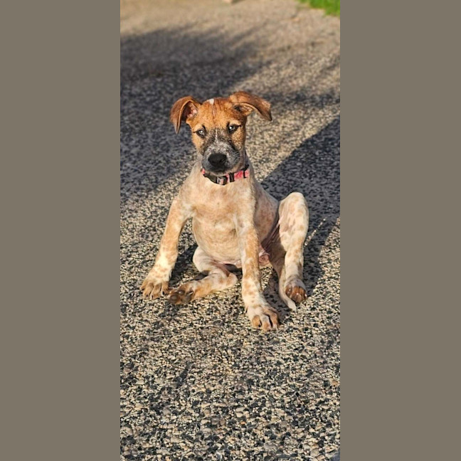 Photo of Tula