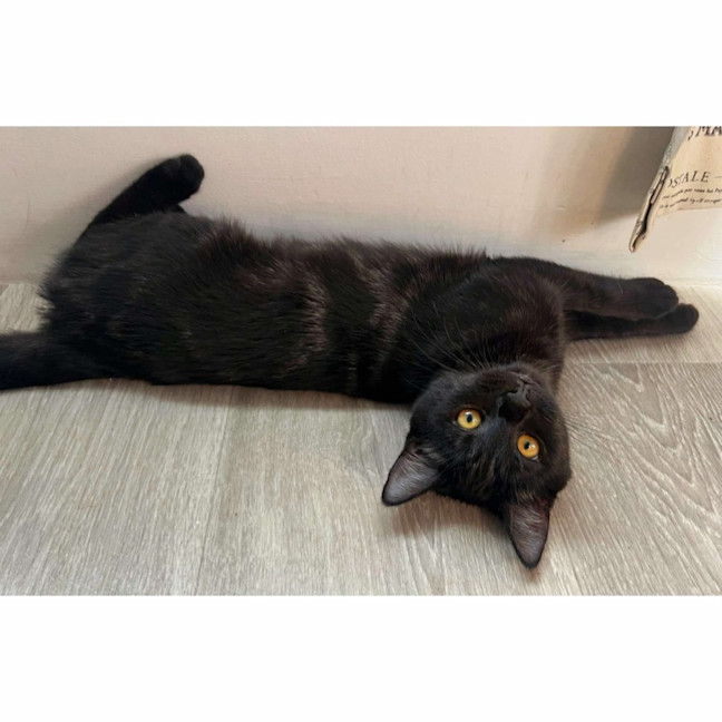 Photo of 12073   Myst