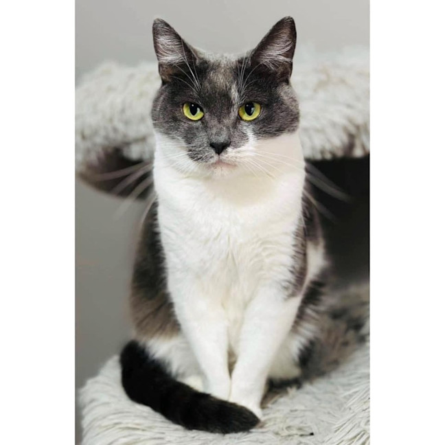 Photo of 9927   Pebbles