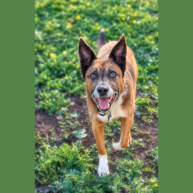 Photo of Bear 