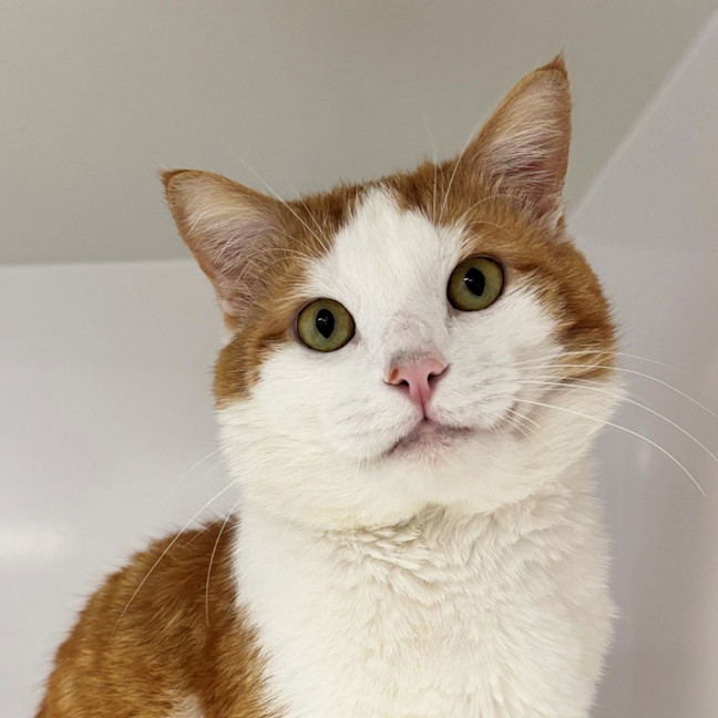 Photo of Patrick Sta014428