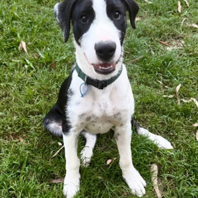 Photo of Thor