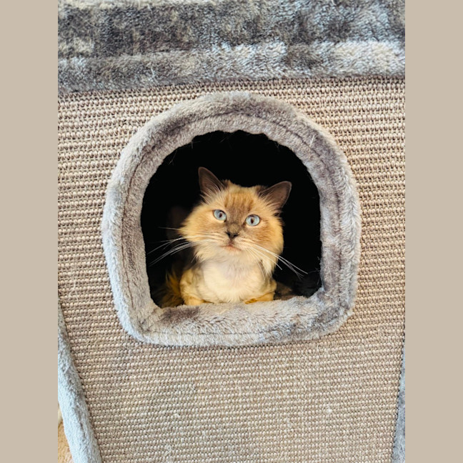 Photo of Mojo