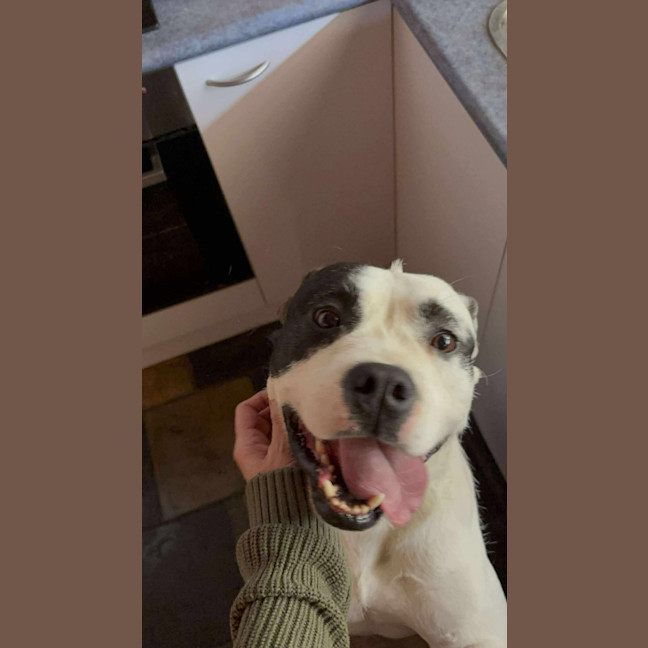Photo of Patch