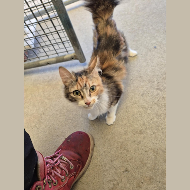 Photo of Maree! 🎀