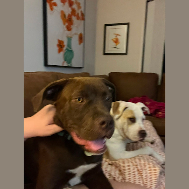 Photo of Christopher Robbin