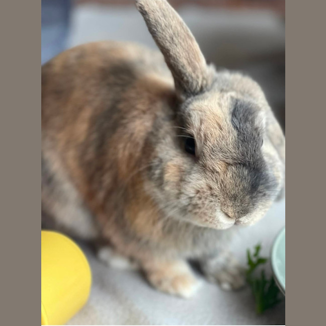 Photo of Monty