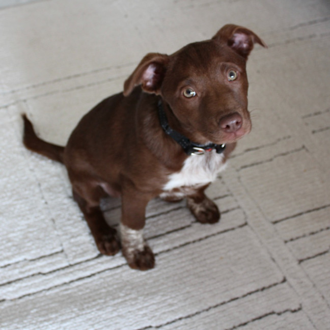 Photo of Hallie