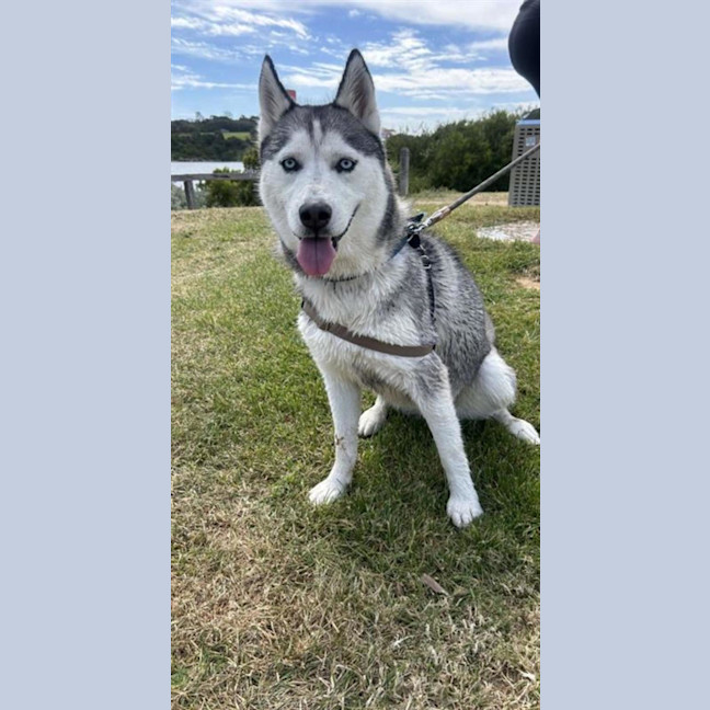 Photo of Lilly
