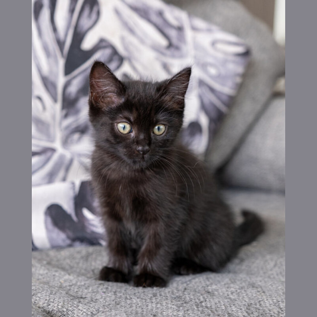 Photo of Cilla